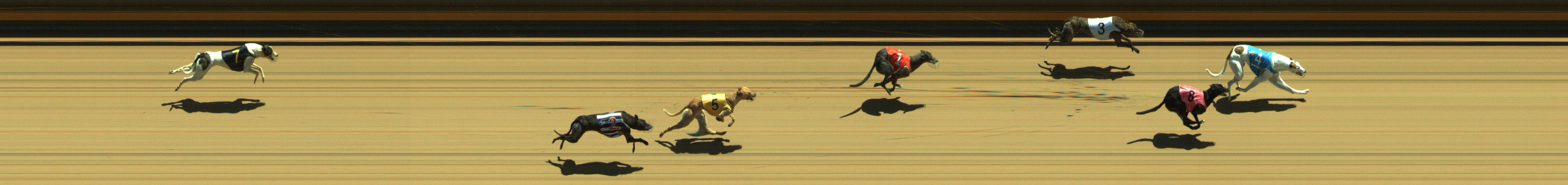 Photo finish for Geelong Race 3
