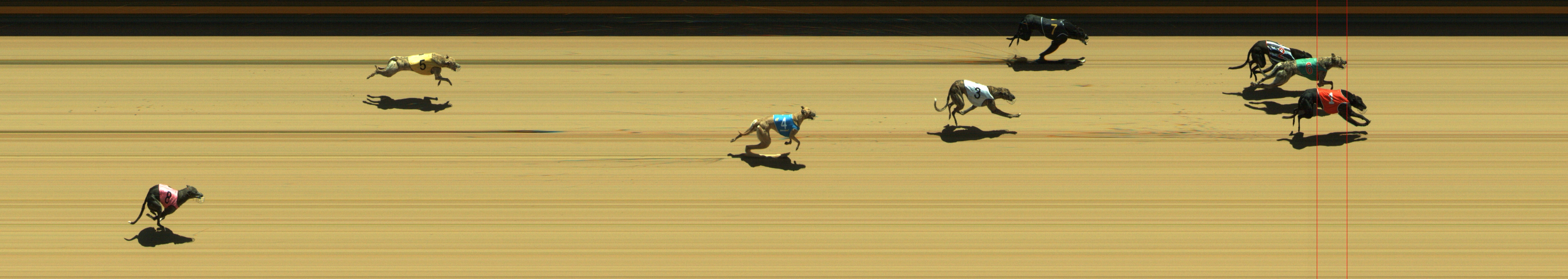 Photo finish for Geelong Race 4