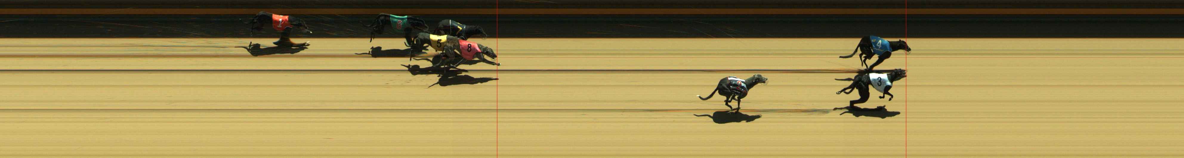 Photo finish for Geelong Race 5
