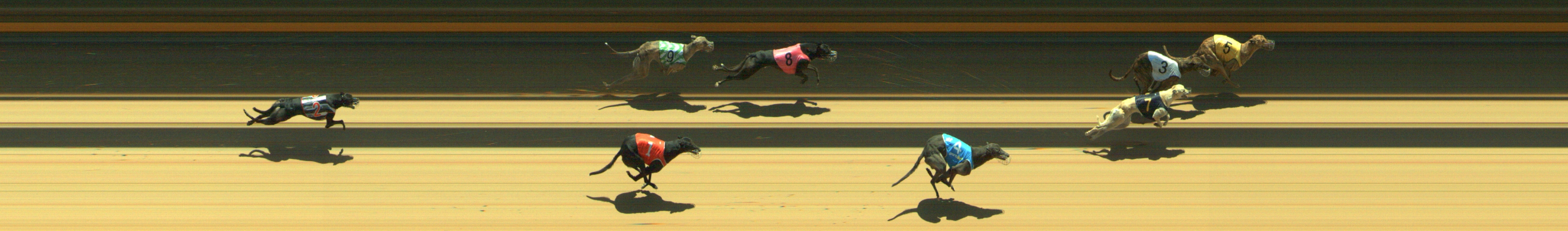 Photo finish for Geelong Race 6