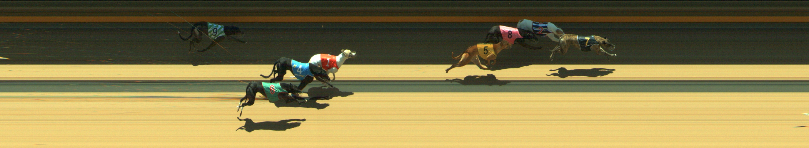 Photo finish for Geelong Race 7