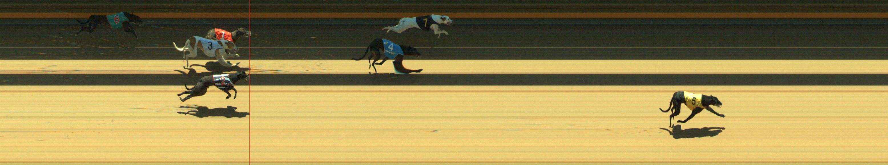 Photo finish for Geelong Race 8
