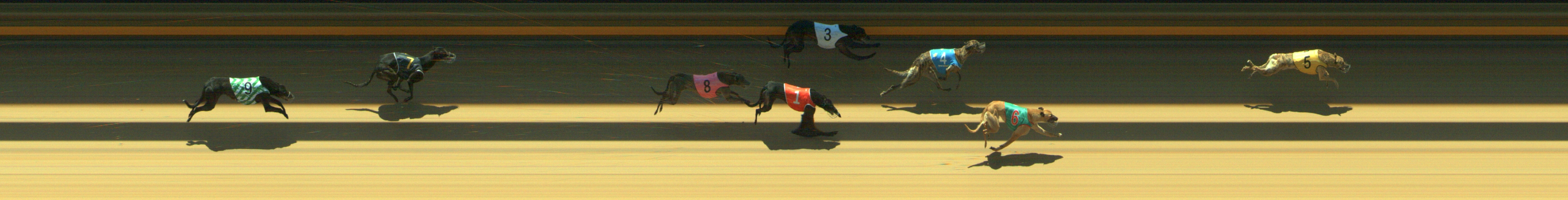 Photo finish for Geelong Race 9