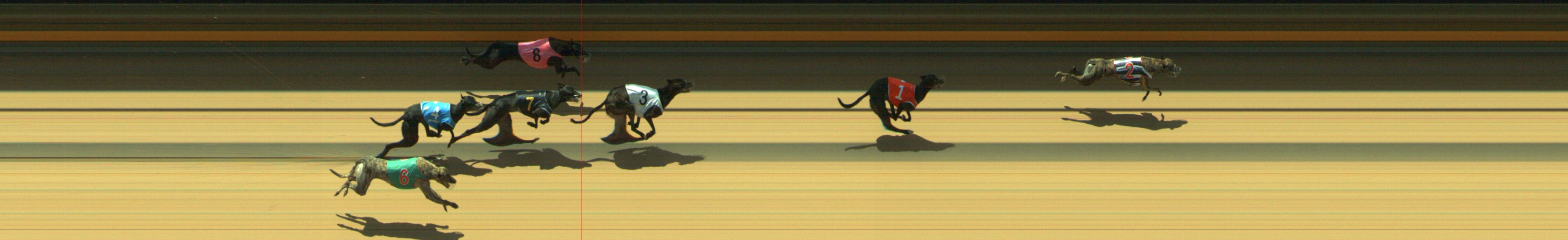 Photo finish for Geelong Race 10