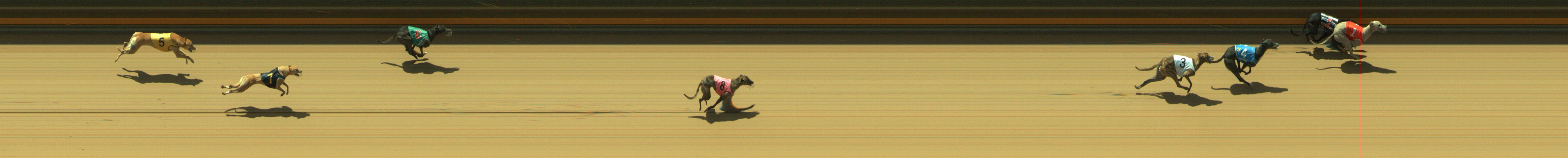 Photo finish for Geelong Race 11