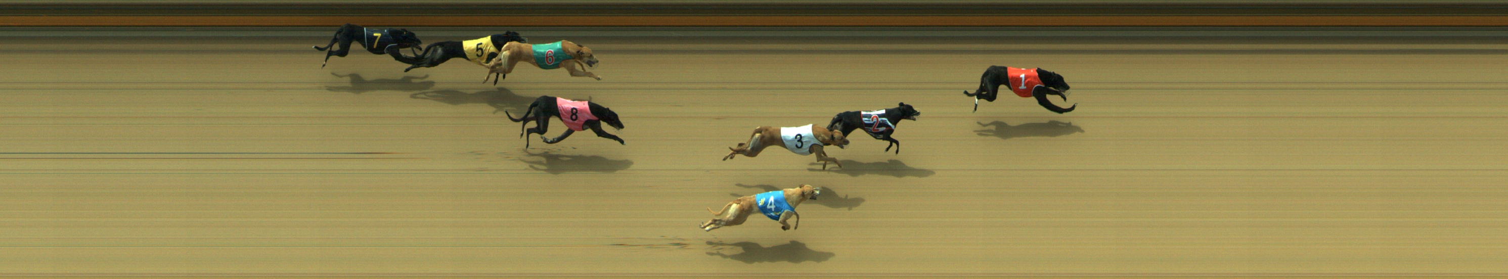 Photo finish for Geelong Race 12