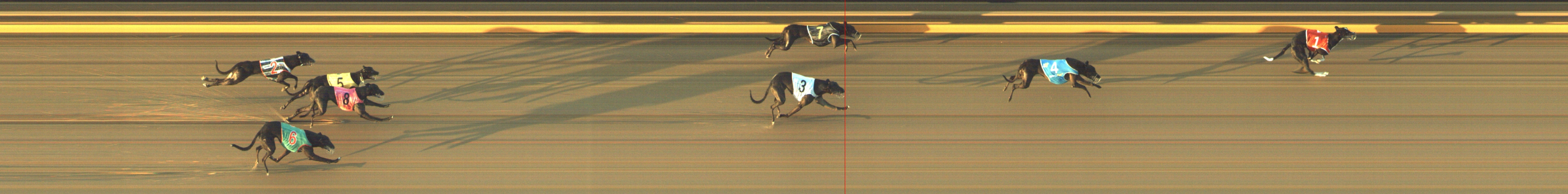 Photo finish for Geelong Race 3