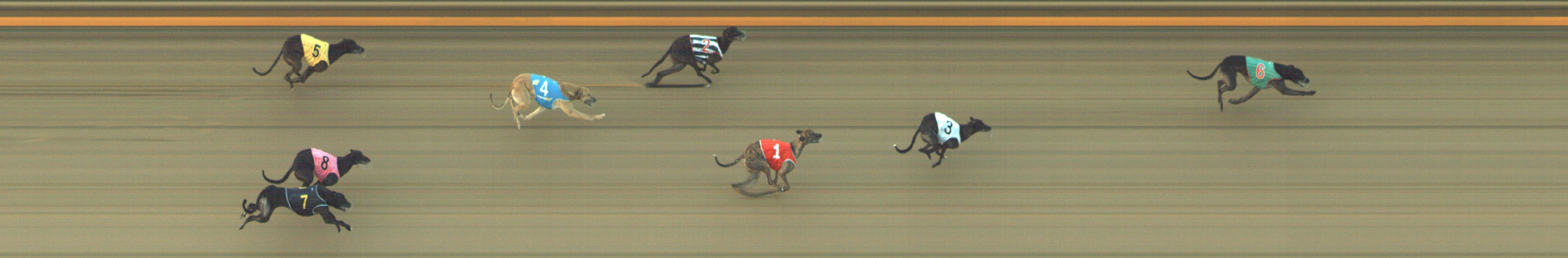 Photo finish for Geelong Race 4