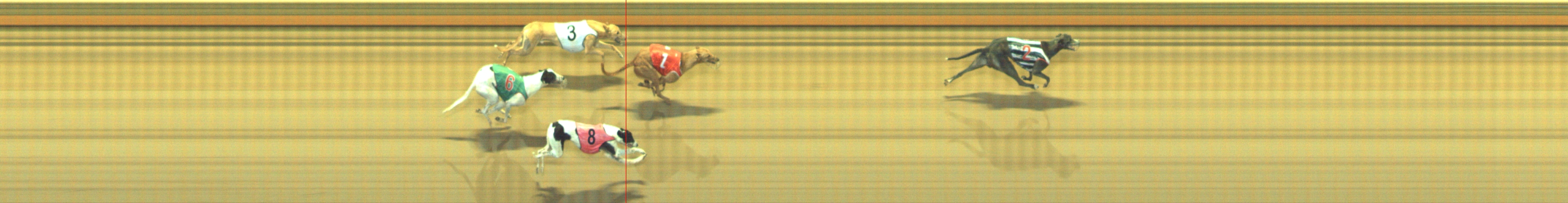 Photo finish for Geelong Race 5