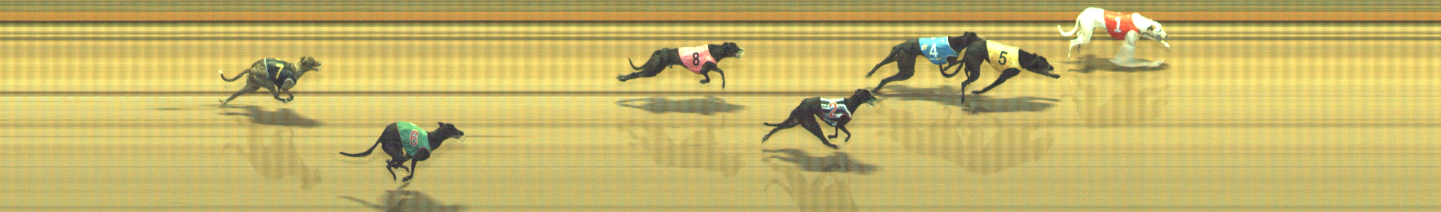 Photo finish for Geelong Race 6