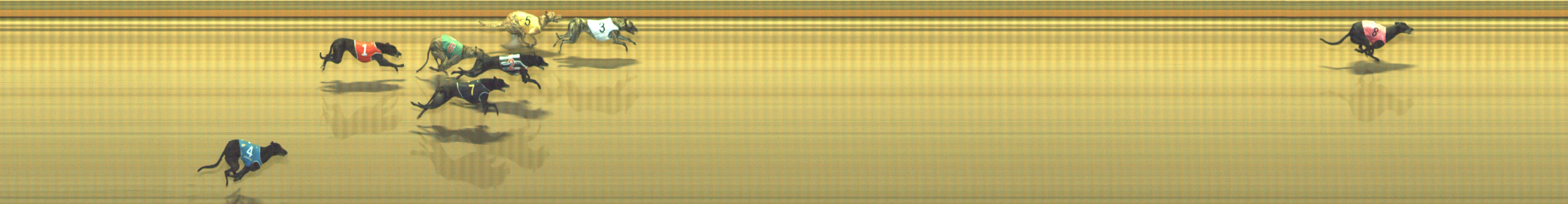 Photo finish for Geelong Race 7