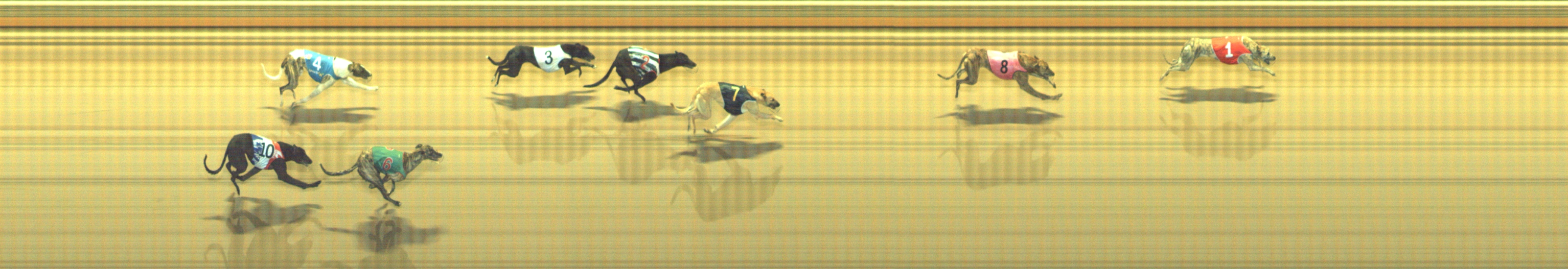 Photo finish for Geelong Race 8