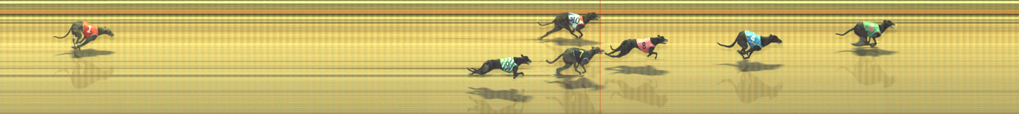 Photo finish for Geelong Race 9