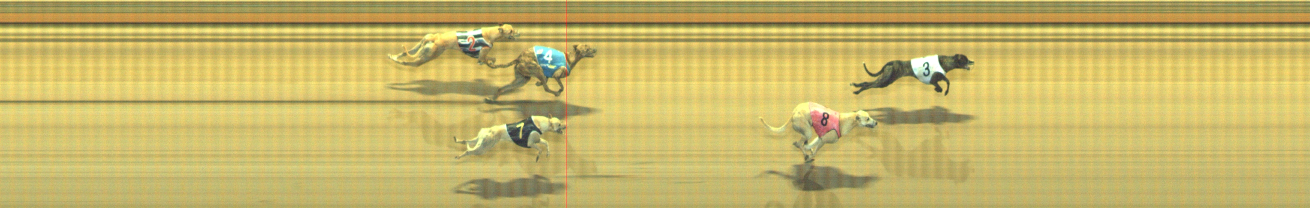Photo finish for Geelong Race 10