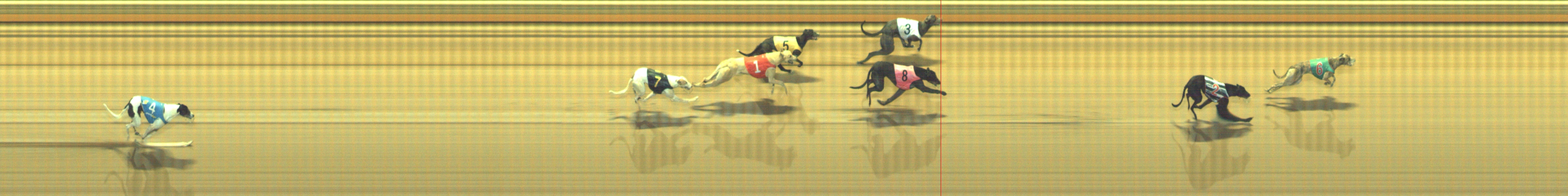 Photo finish for Geelong Race 11