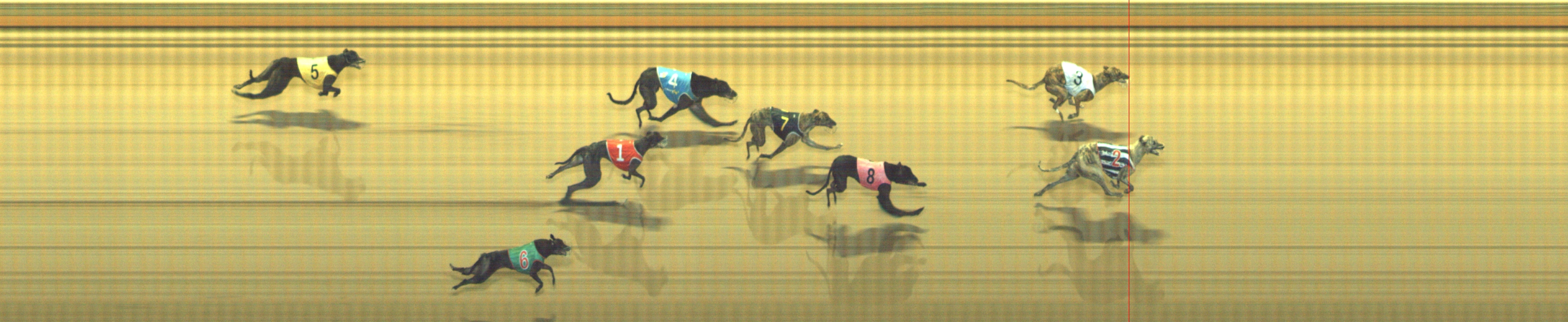 Photo finish for Geelong Race 12