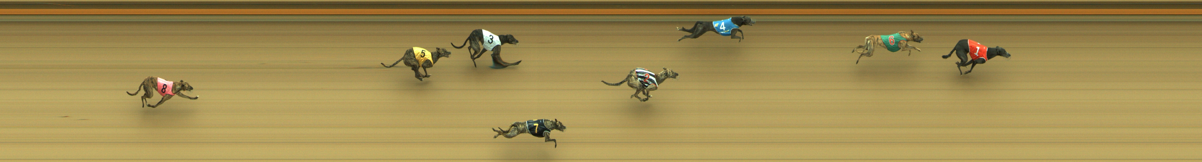 Photo finish for Geelong Race 3