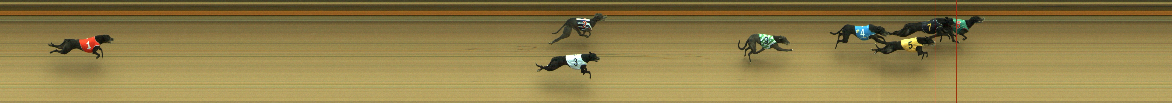 Photo finish for Geelong Race 4