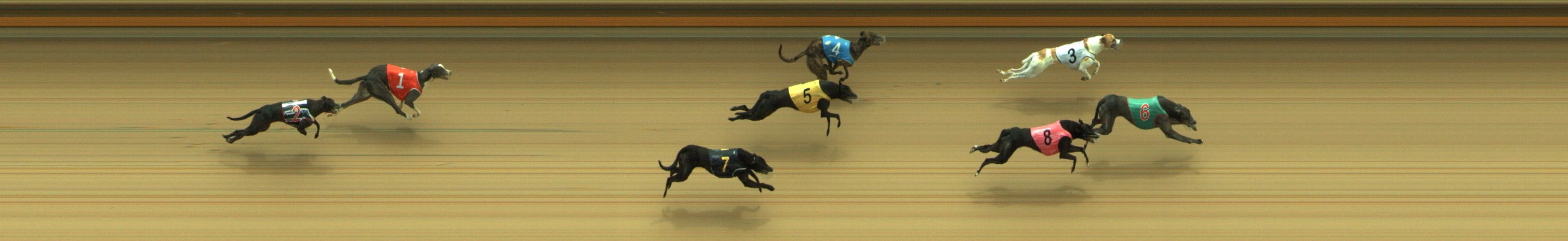 Photo finish for Geelong Race 5