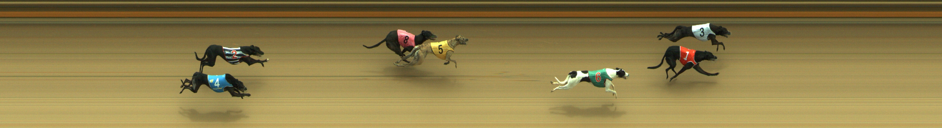 Photo finish for Geelong Race 6