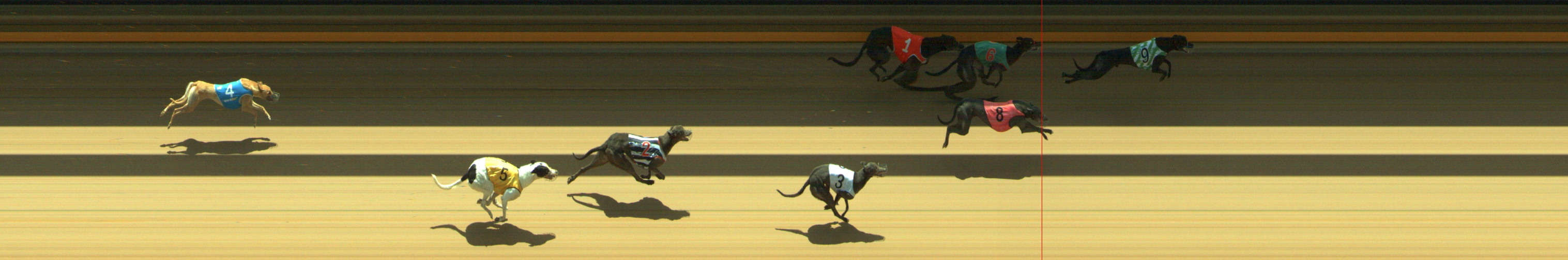 Photo finish for Geelong Race 7