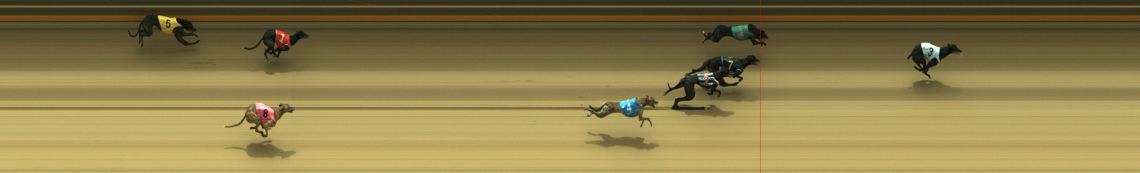Photo finish for Geelong Race 8