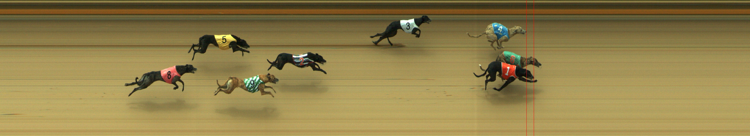Photo finish for Geelong Race 9