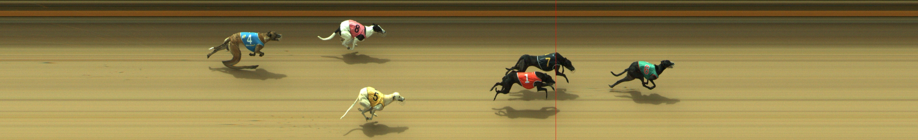 Photo finish for Geelong Race 10