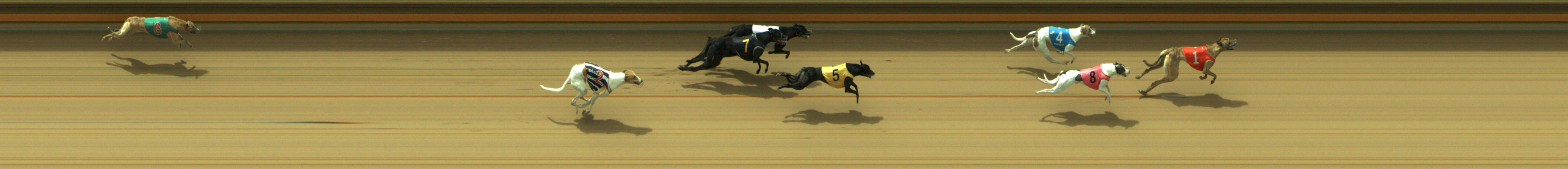 Photo finish for Geelong Race 11