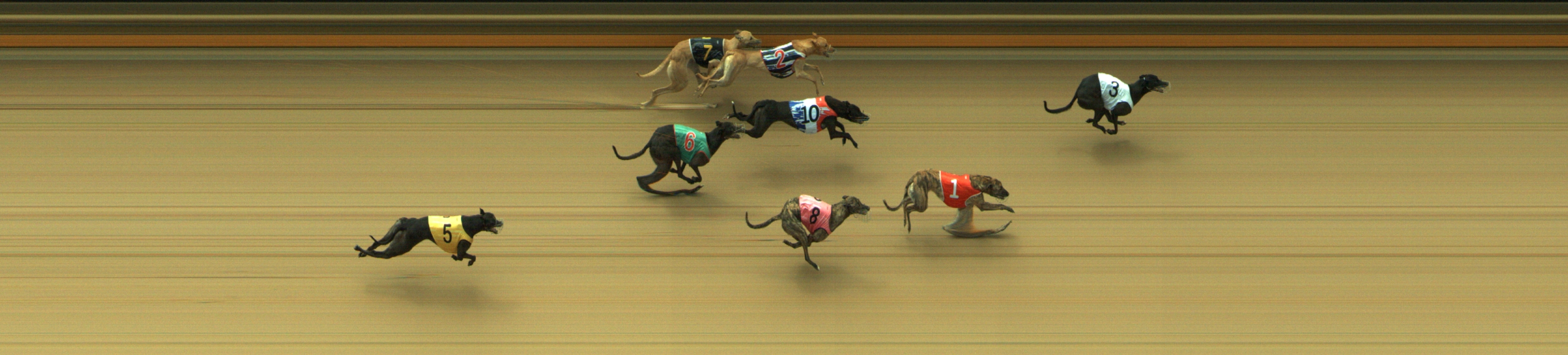 Photo finish for Geelong Race 12