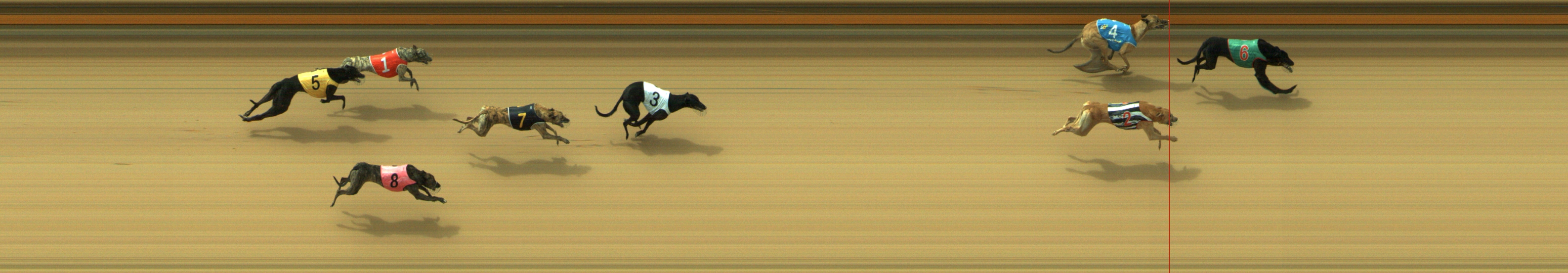 Photo finish for Geelong Race 1