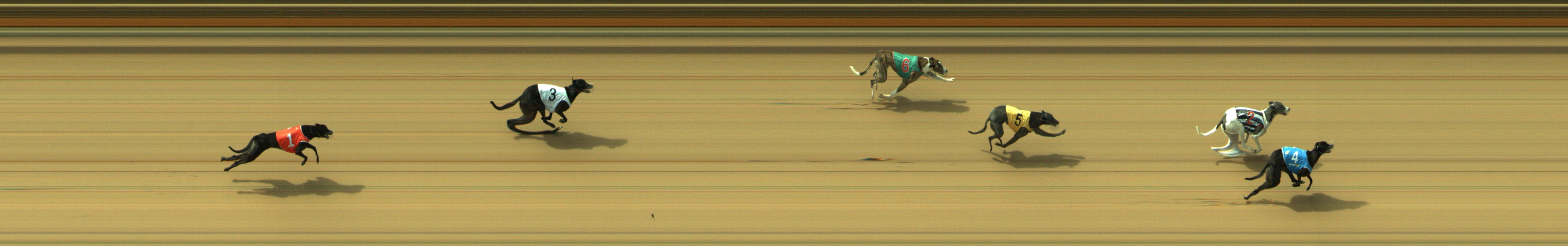 Photo finish for Geelong Race 3