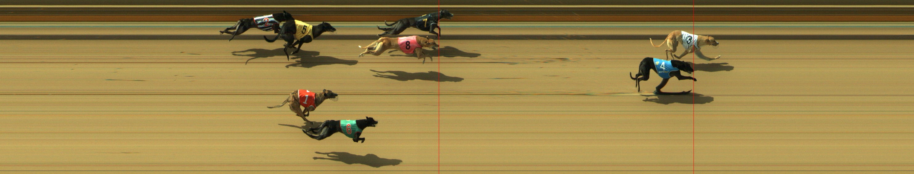 Photo finish for Geelong Race 4