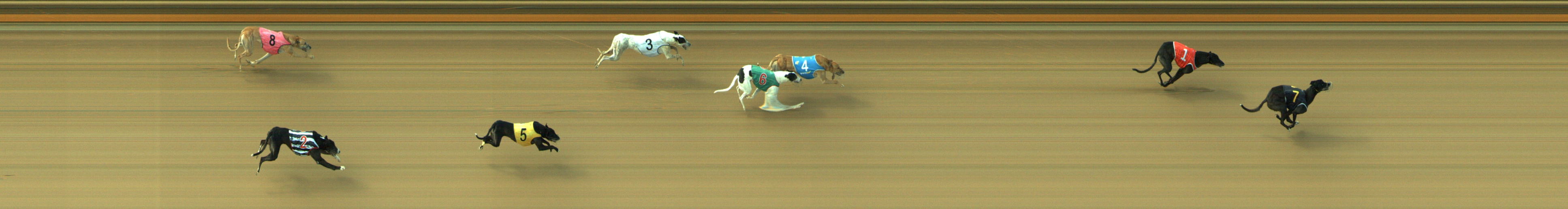 Photo finish for Geelong Race 5