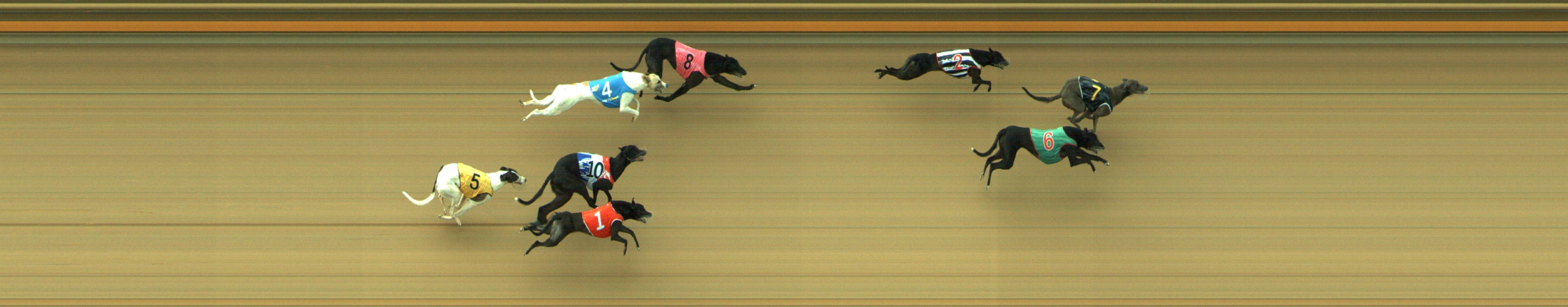 Photo finish for Geelong Race 6
