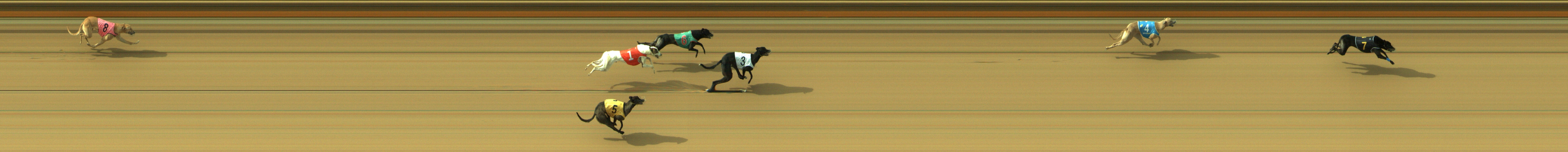 Photo finish for Geelong Race 7