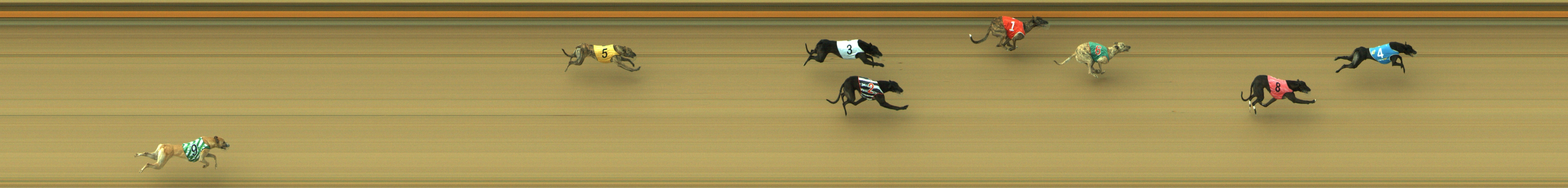 Photo finish for Geelong Race 8