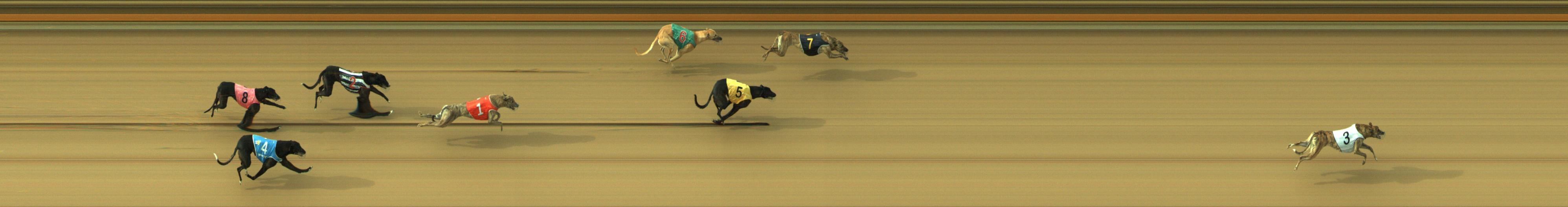 Photo finish for Geelong Race 9