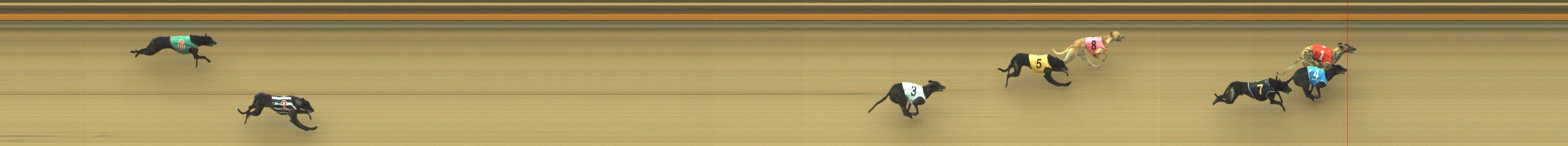 Photo finish for Geelong Race 10