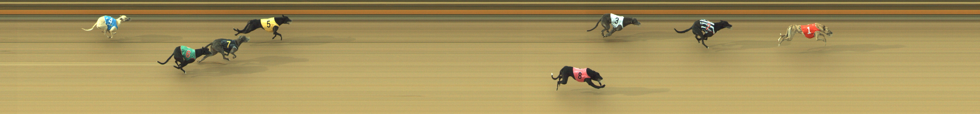 Photo finish for Geelong Race 11