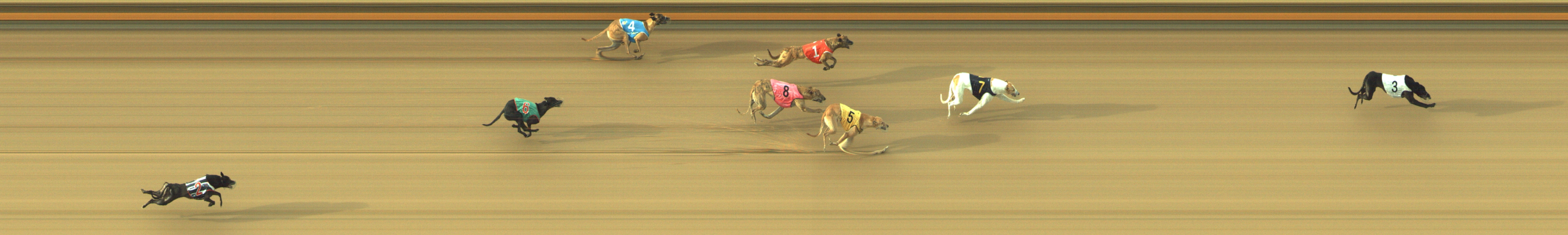 Photo finish for Geelong Race 12