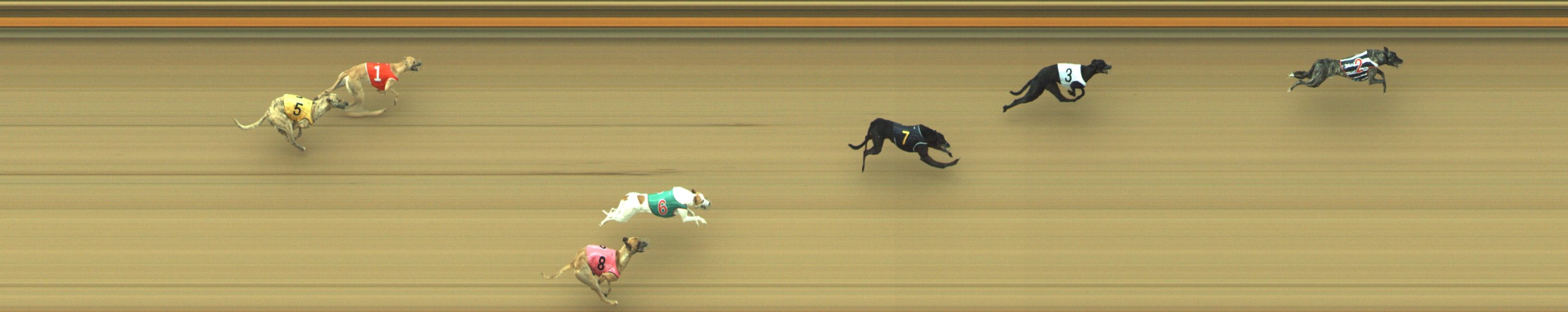 Photo finish for Geelong Race 1