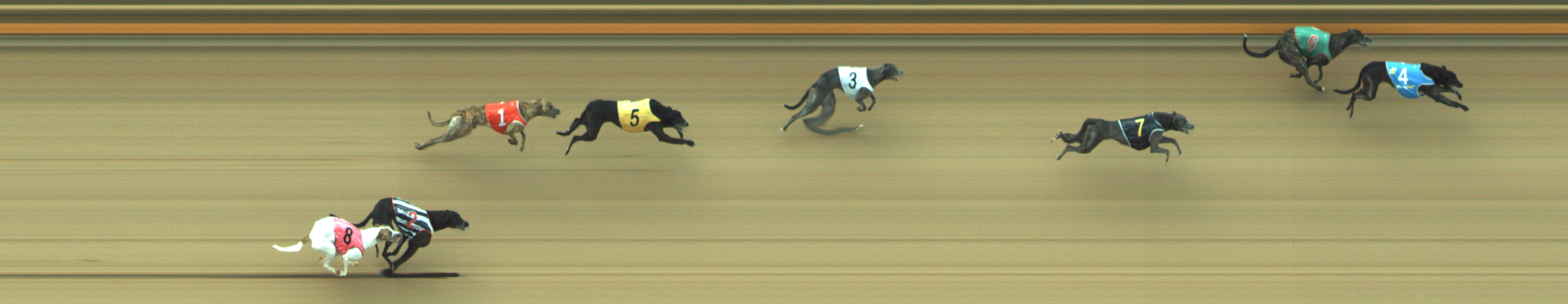 Photo finish for Geelong Race 2