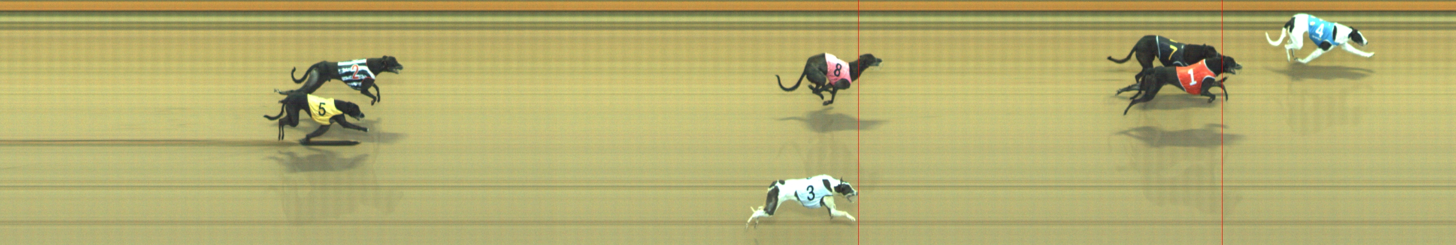 Photo finish for Geelong Race 3