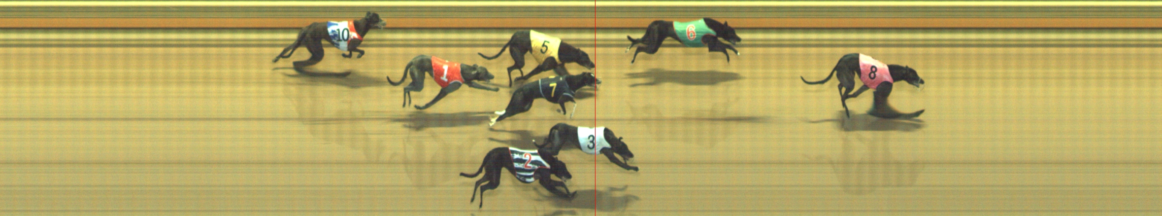 Photo finish for Geelong Race 4