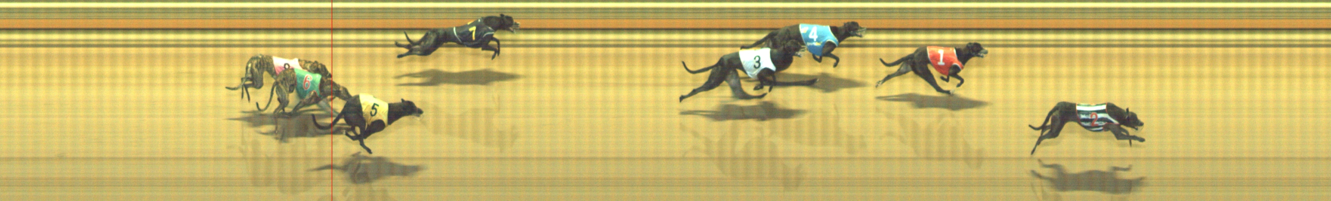 Photo finish for Geelong Race 5