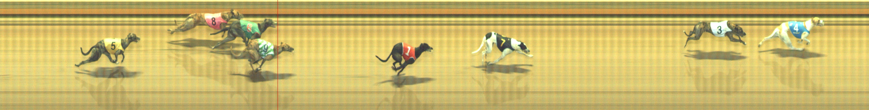 Photo finish for Geelong Race 6