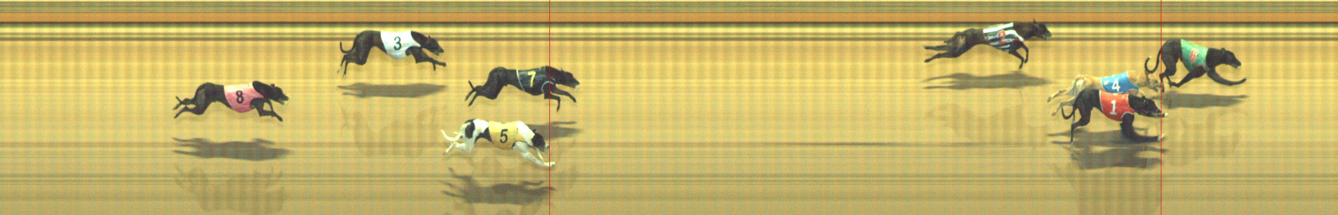 Photo finish for Geelong Race 7