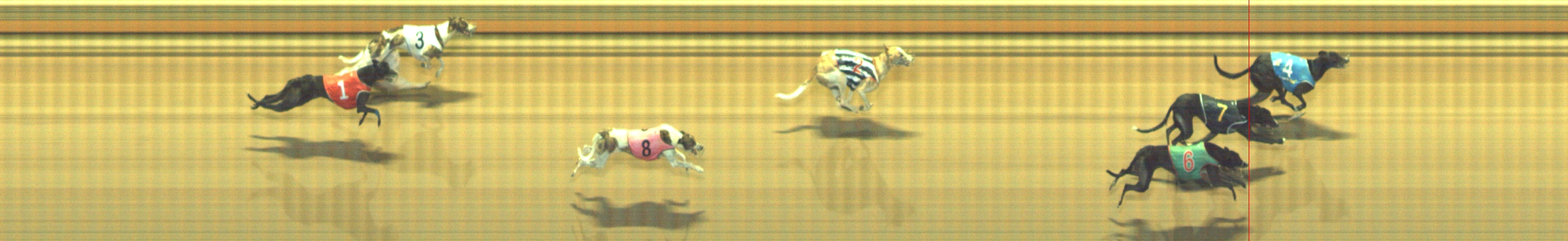 Photo finish for Geelong Race 8