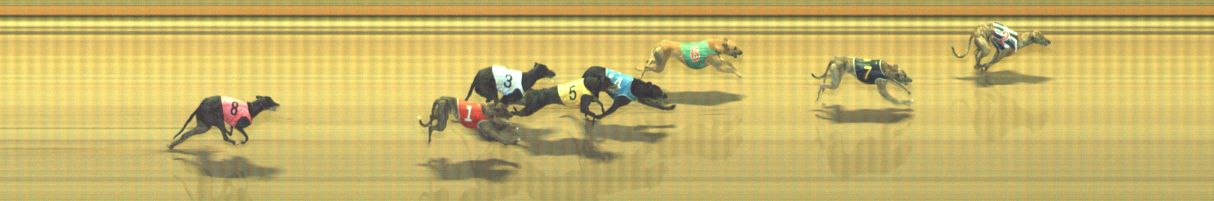 Photo finish for Geelong Race 9